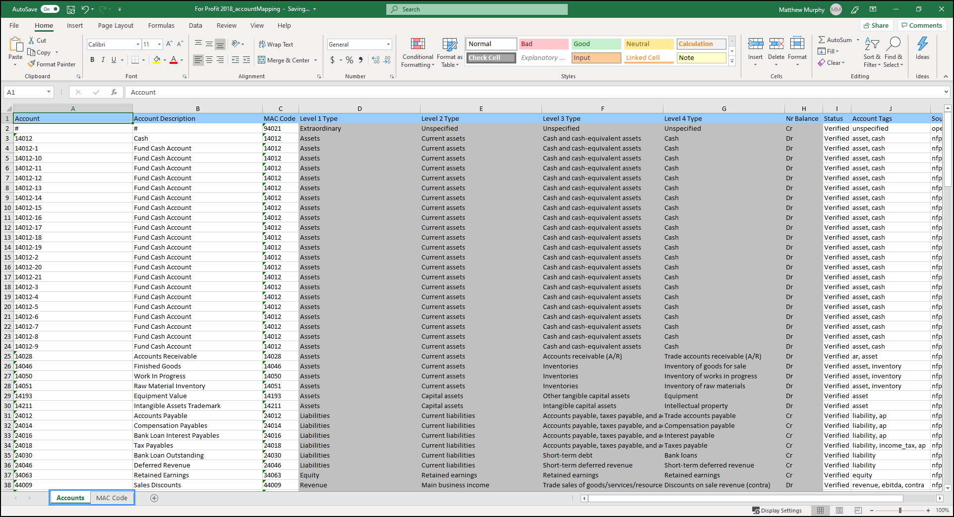 Screenshot showing the Accounts tab in the exported spreadsheet