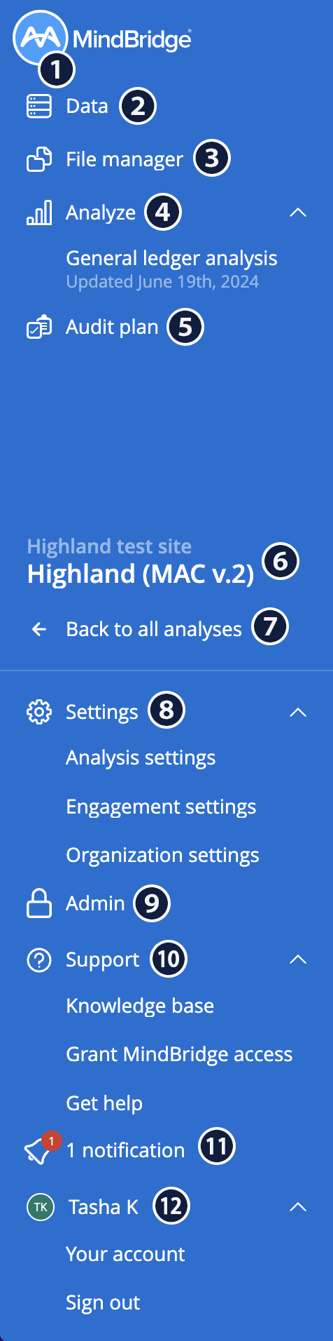 Screenshow of the fully expanded MindBridge sidebar