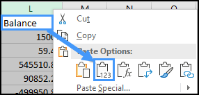 copy and paste icon in excel