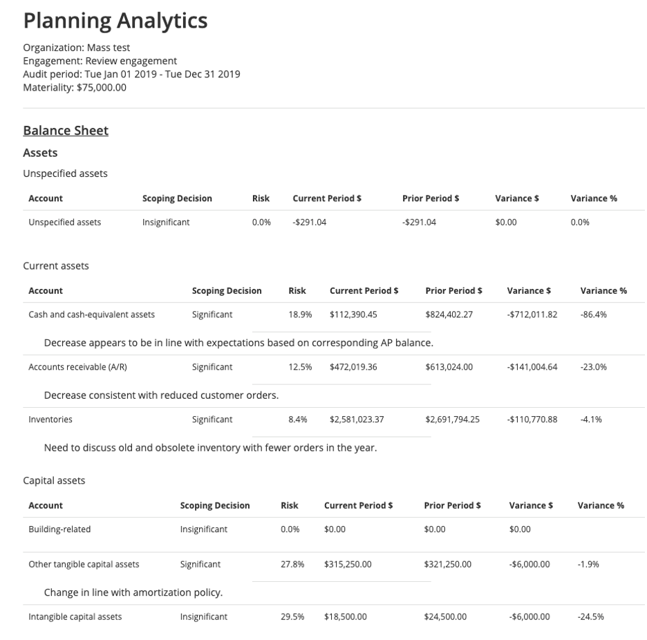 mindbridge planning analytics report