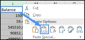 icono copiar y pegar en Excel